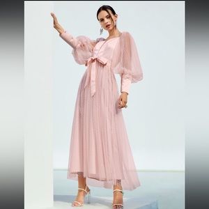 SHEIN Lantern Sleeve Tie Back Belted Dobby Mesh Overlay Dress